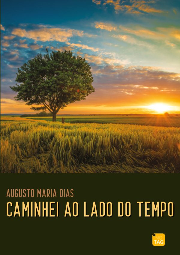 Caminhei ao Lado do Tempo